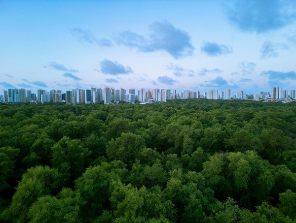 Voyager sereinement sans voiture ni portable : 10 conseils essentiels