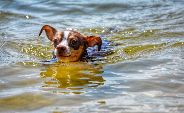 Quels sont les conseils pour débuter dans l'investissement immobilier avec un petit budget ?